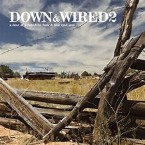 Down & Wired 2