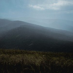 Iris Emmanuelle 的头像