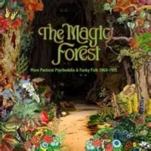 The Magic Forest
