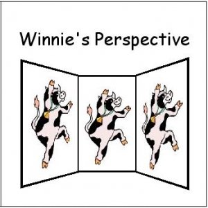 “Winnie's Perspective”的封面