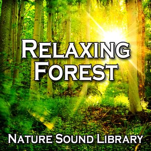 Relaxing Forest (Nature Sounds for Deep Sleep, Relaxation, Meditation, Spa, Sound Therapy, Studying, Healing Massage, Yoga and Chakra Balancing)