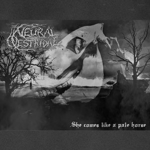 She Comes Like a Pale Horse