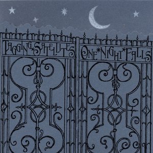 One Night Falls