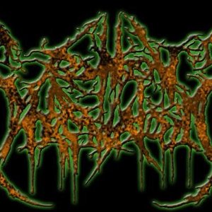 Rotten Stigmatosis 的头像