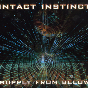 Intact Instinct - Goa Head Vol.9 CD2 - Zortam Music