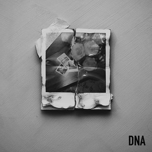 CAN'T TAKE IT - DNA
