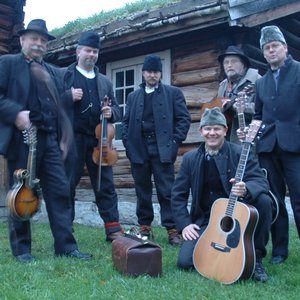 Dalarna Femund Spelmanslag 的头像