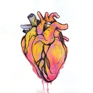 All the Wrong Defenses