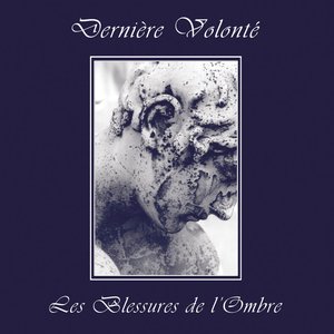 “Les Blessures de L'ombre”的封面