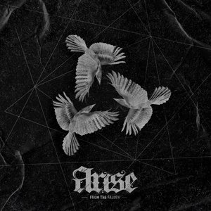 Conditions - Single