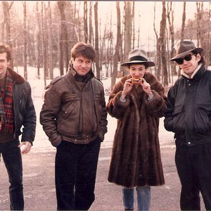 The Cucumbers photo provided by Last.fm