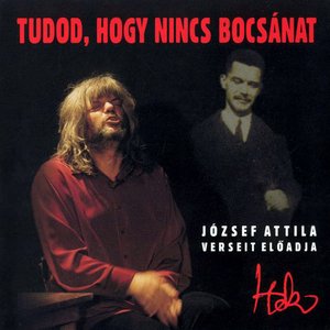 “Tudod, hogy nincs bocsánat”的封面