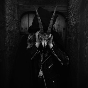 Marghöfða dýrið 的头像