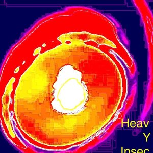 heavy insect 的头像