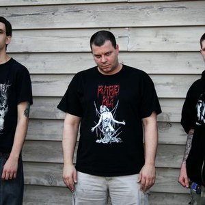 Dead Flesh 的头像