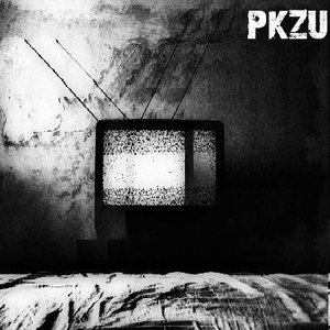 Avatar for Pkzu