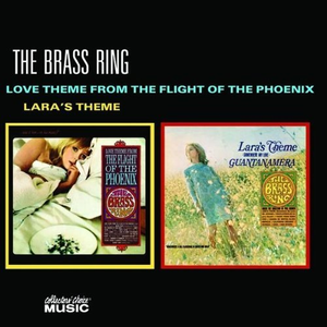 Love Theme From 'The Flight of the Phoenix' cover