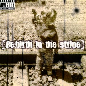 [Re:birth in the stripe]