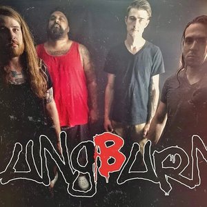 Lungburn 的头像
