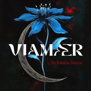 Viamaer 的头像