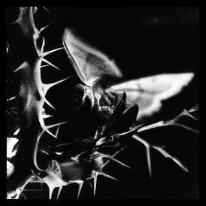 Something In the Way (Cover)