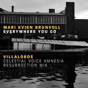 Everywhere You Go - Villalobos celestial voice amnesia resurrection mix