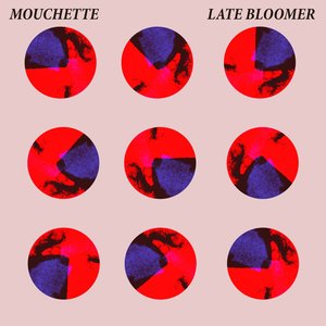 Late Bloomer (feat. Natalie Walker)