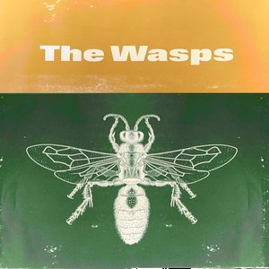 The Wasps