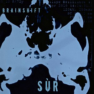 Brainshift