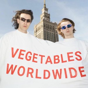 vgtbl.pl 的头像