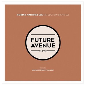 Reflection (Remixes)