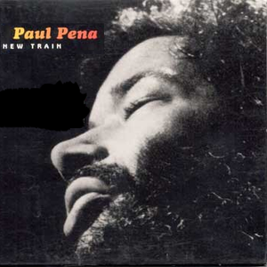 New Train cover