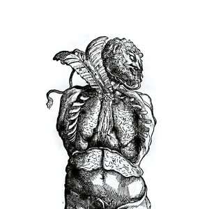 Choices and Consequences