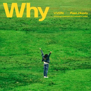 Why (feat. Hoody) - Single