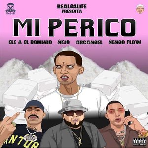 Mi Perico (Remix)