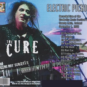 Electric Picnic