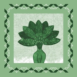 Mandragora