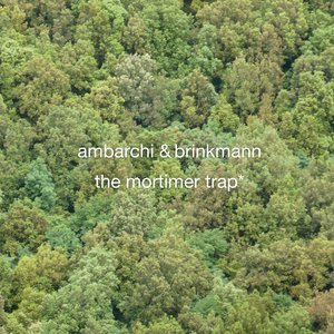 Oren Ambarchi & Thomas Brinkmann 的头像