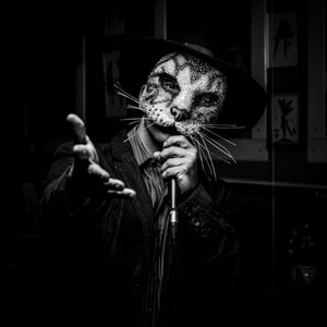 Avatar for Gato Maltês