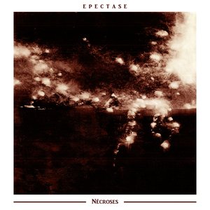 Nécroses