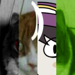 Ode to Bracket Cat