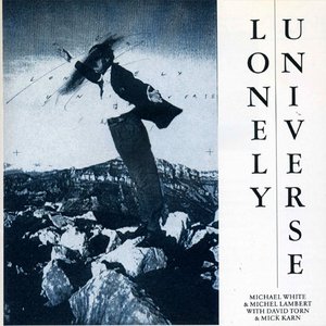 Lonely Universe