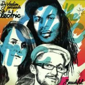 Avatar di DJ Vadim Presents The Electric