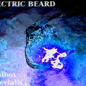 “Electric Beard”的封面