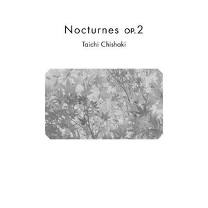 Nocturnes op.2