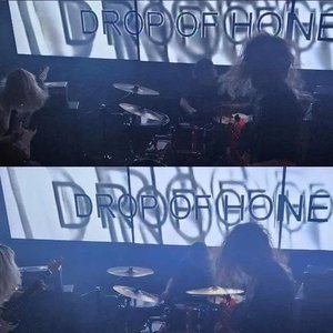 drop of honey 的头像