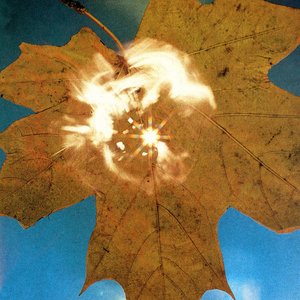Сила Ветра = Force Of The Wind