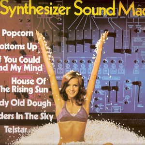 Avatar for The Synthetiser Sound Machine