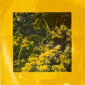 In Yellow