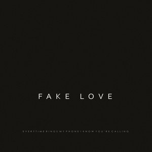 Fake Love